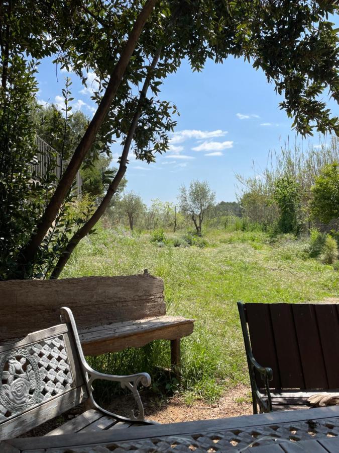 Casa Rural Con Jardin,A 8Km Playa Y En La Naturaleza Taronja&Canyella Ardenya Dış mekan fotoğraf