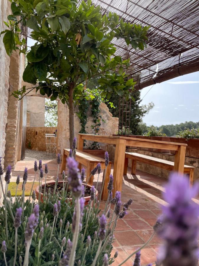 Casa Rural Con Jardin,A 8Km Playa Y En La Naturaleza Taronja&Canyella Ardenya Dış mekan fotoğraf