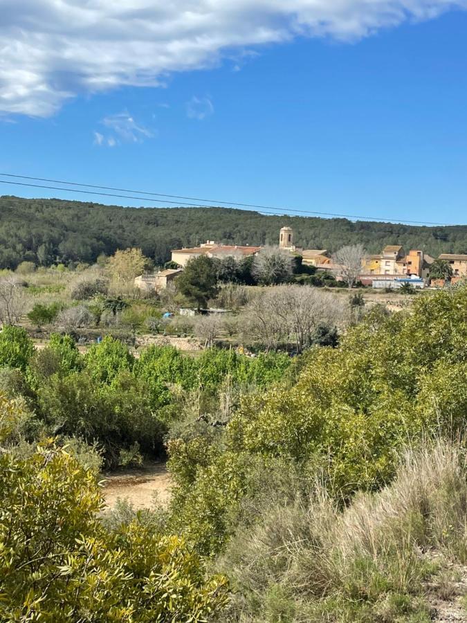 Casa Rural Con Jardin,A 8Km Playa Y En La Naturaleza Taronja&Canyella Ardenya Dış mekan fotoğraf