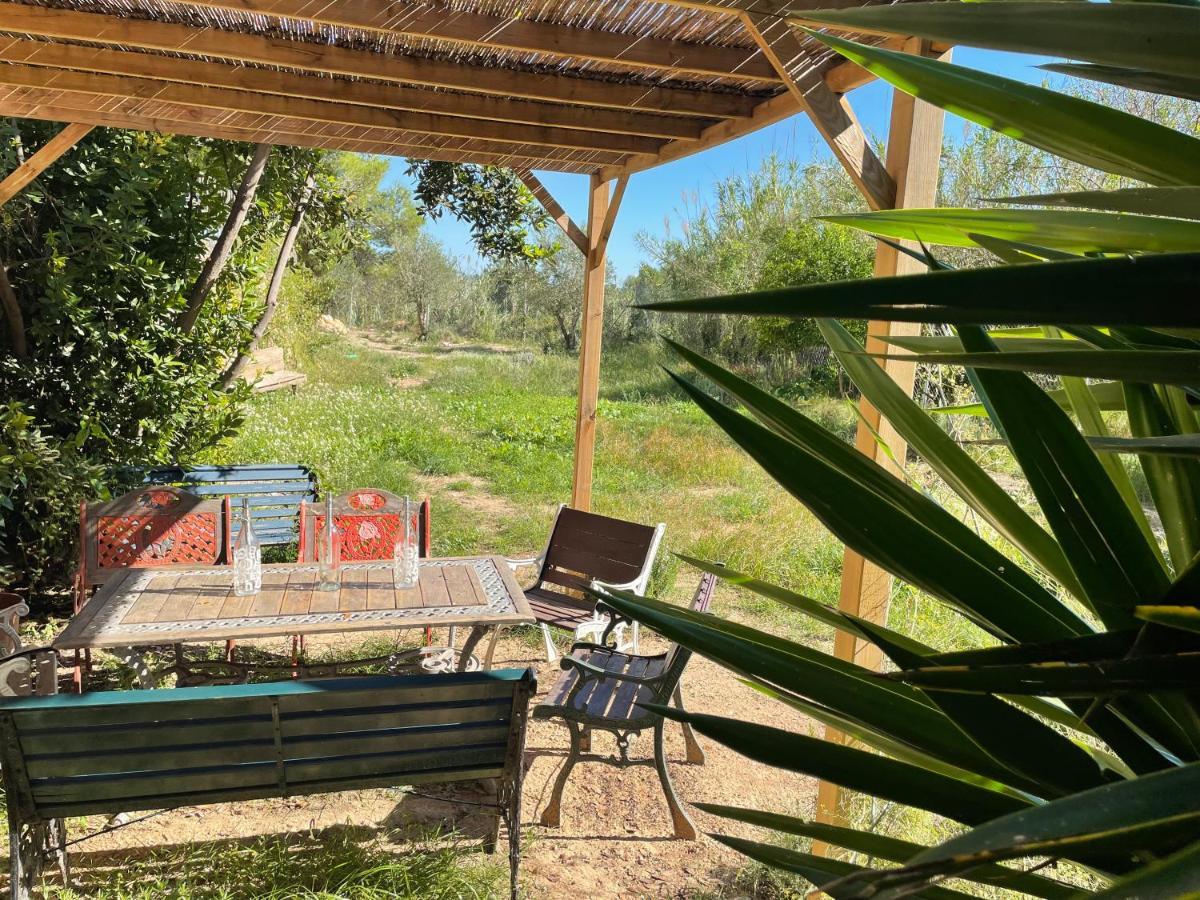 Casa Rural Con Jardin,A 8Km Playa Y En La Naturaleza Taronja&Canyella Ardenya Dış mekan fotoğraf