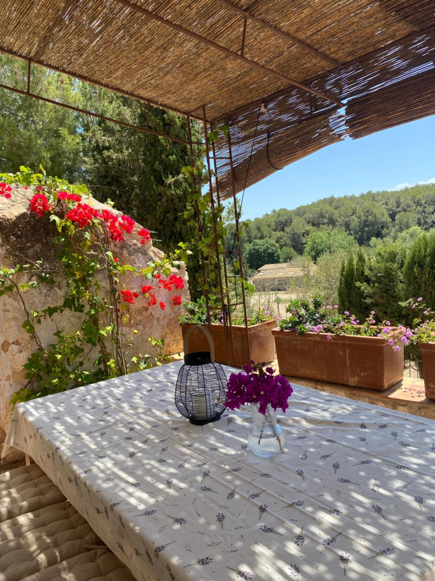 Casa Rural Con Jardin,A 8Km Playa Y En La Naturaleza Taronja&Canyella Ardenya Dış mekan fotoğraf