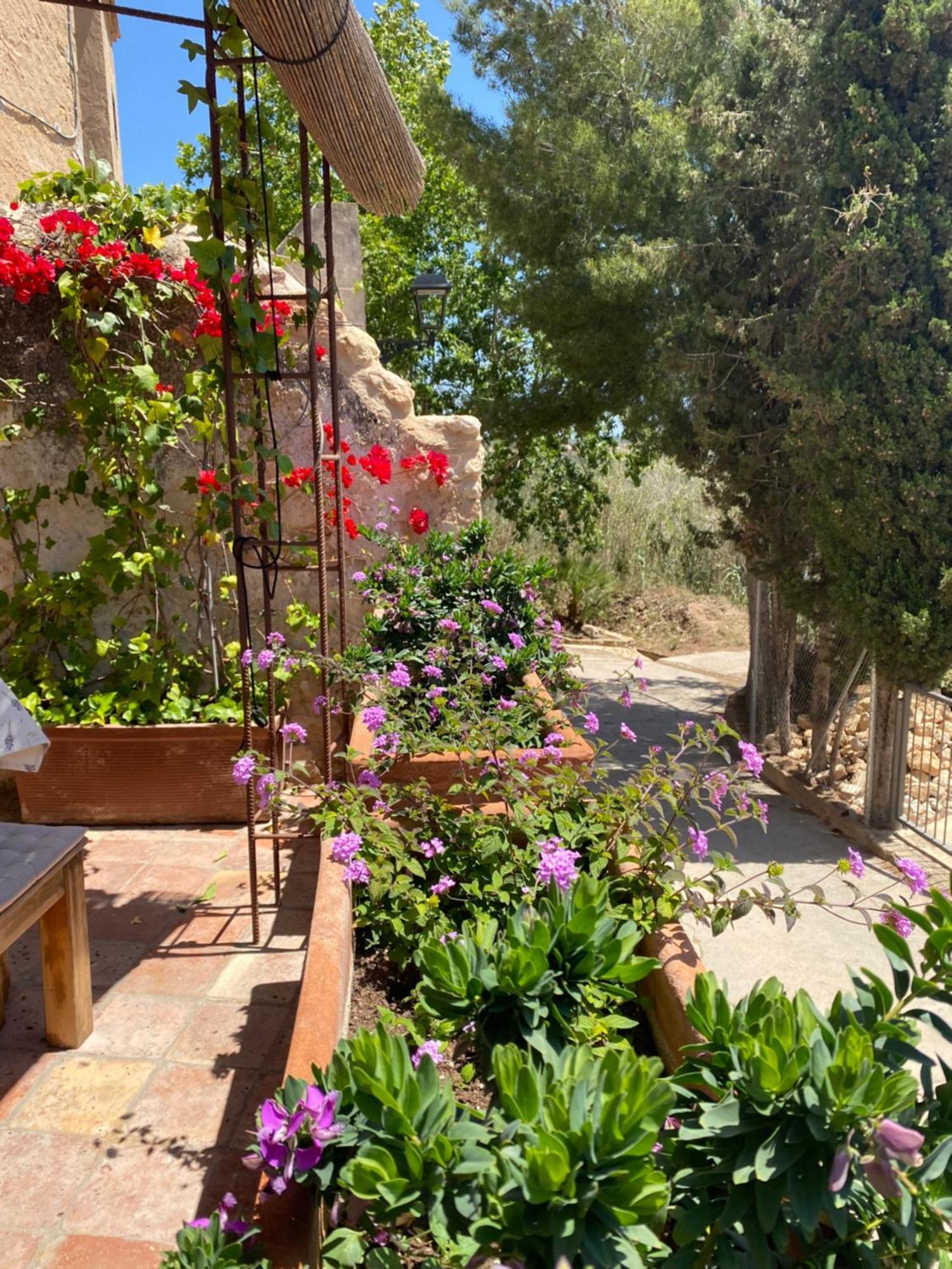 Casa Rural Con Jardin,A 8Km Playa Y En La Naturaleza Taronja&Canyella Ardenya Dış mekan fotoğraf
